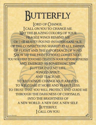 (image for) Butterfly