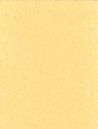 (image for) 500pk 24# 8 1/2"x11" parchment